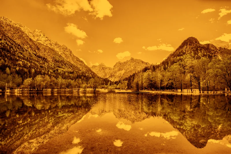 Redscale example