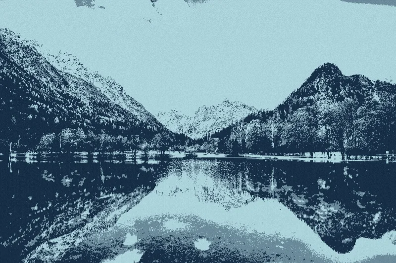 Screen print example