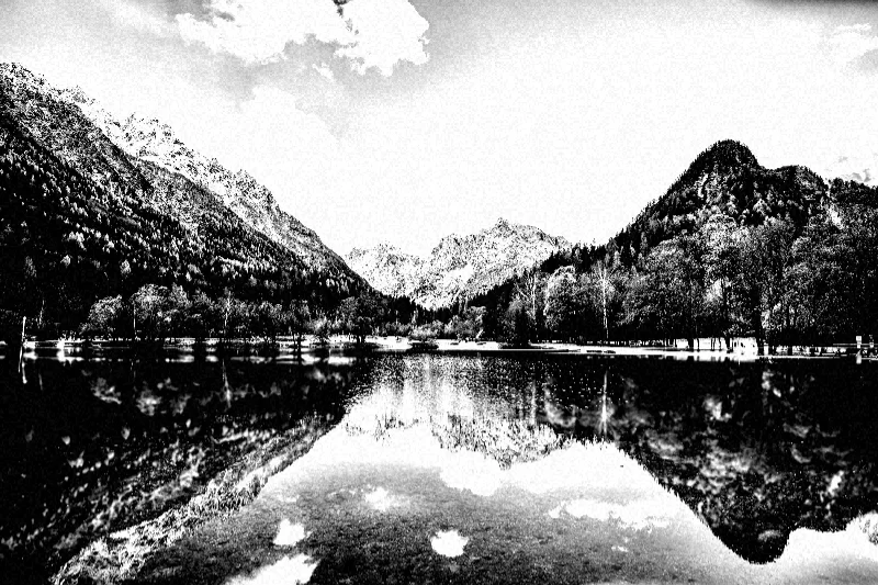Silver gelatin example